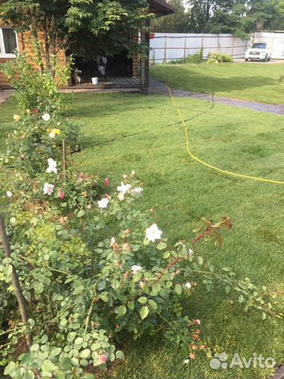 Укладка рулонного газона