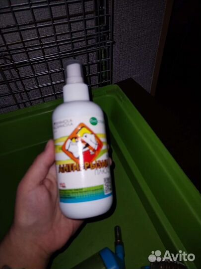 Сено, лоток, антигрызин и др