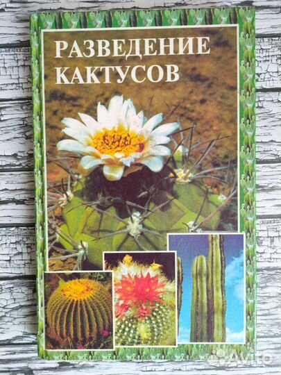 Книги о кактусах