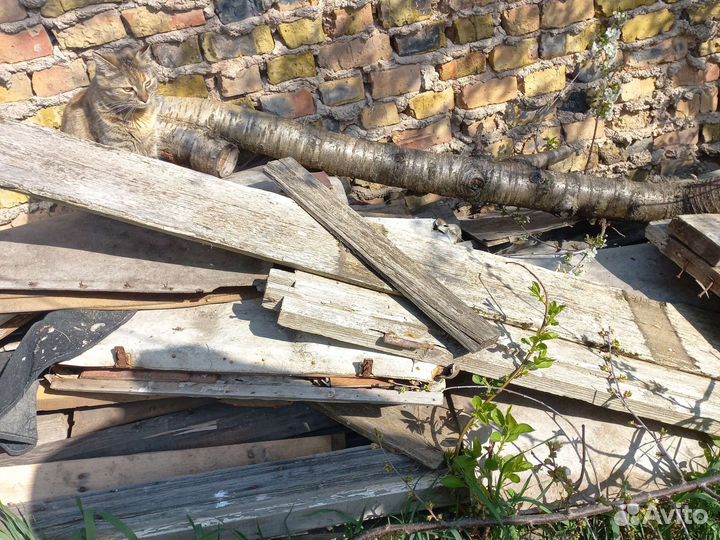 Дрова самовывоз