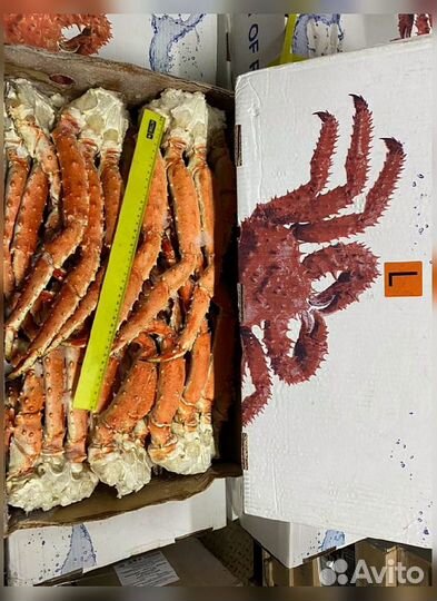 Конечности краба стригуна