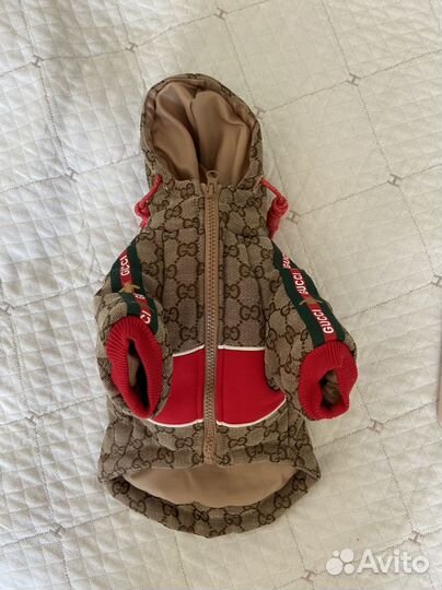 Одежда для собак мелких пород