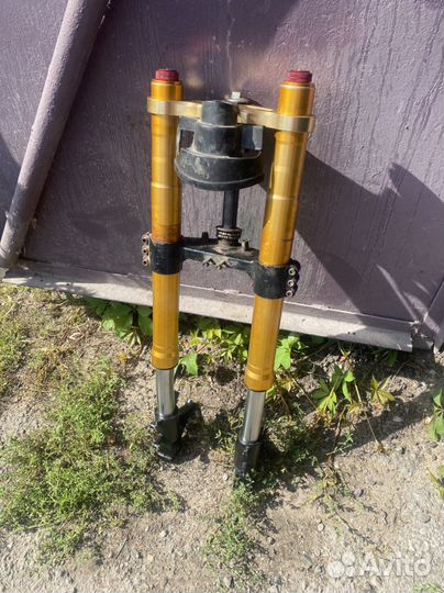 Falcon speedfire 250