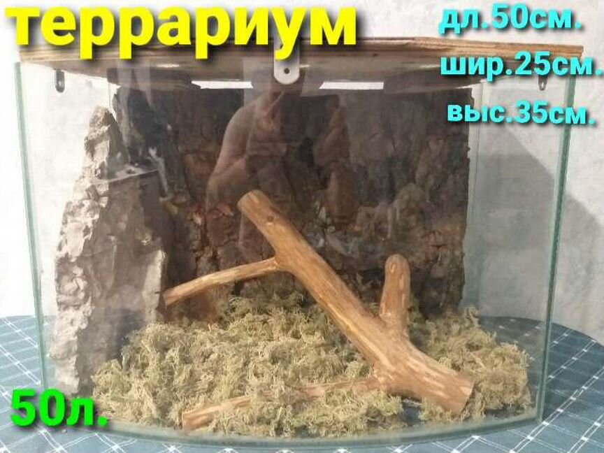 Террариумы для рептилий