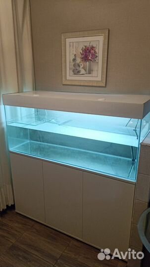 Акватеррариум