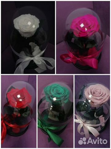 Стабилизированная роза в колбе