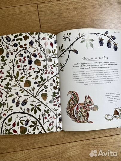 Книга Хелен Апорнсири Год в лесу