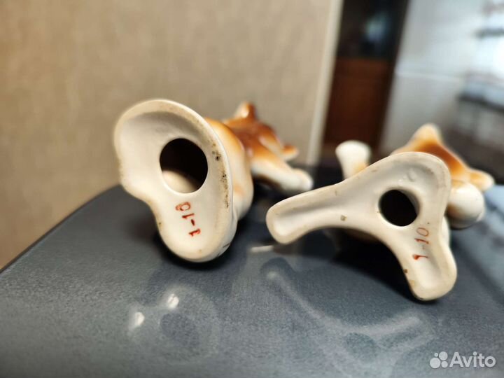 Олимпийские мишки,зхк Полонное