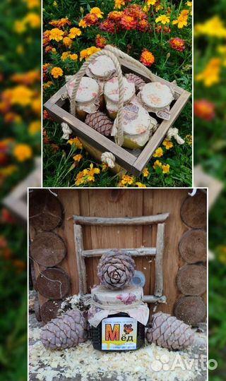 С нашей пасеки мёд колоды ульи борти пчёлки