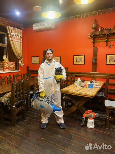 Дезинсекция клопы тараканы