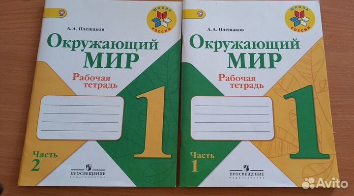 Рабочая тетрадь окружающий мир 1 класс