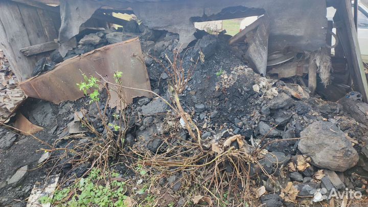 Каменный уголь на самовывоз