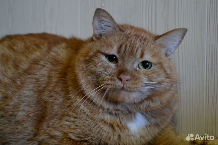 Марс ищет дом