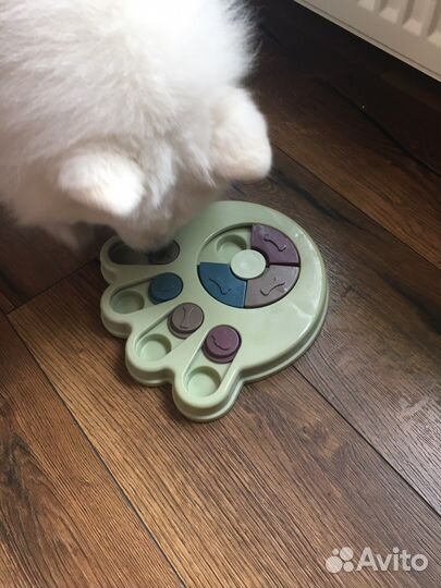 Игрушка для собаки