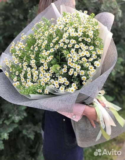 Ромашки букет