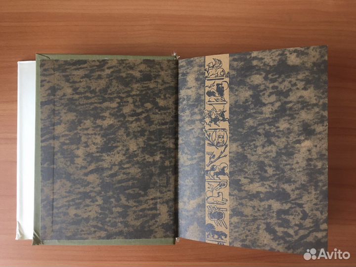 Шота Руставелли. Витязь в тигровой шкуре