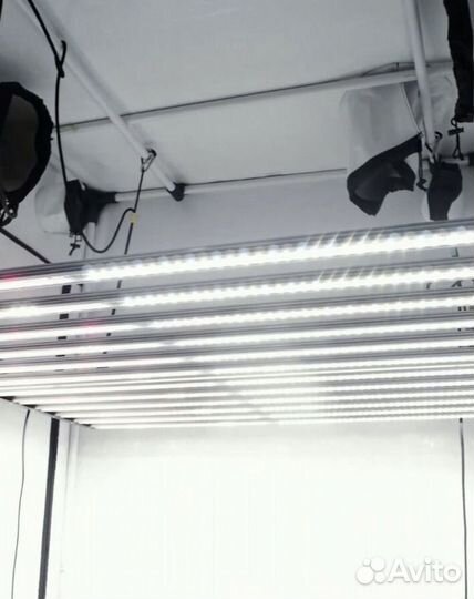 Big cock design Flasher 600w iruvs