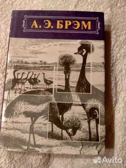 Книги Жизнь животных. А.Э. брэм