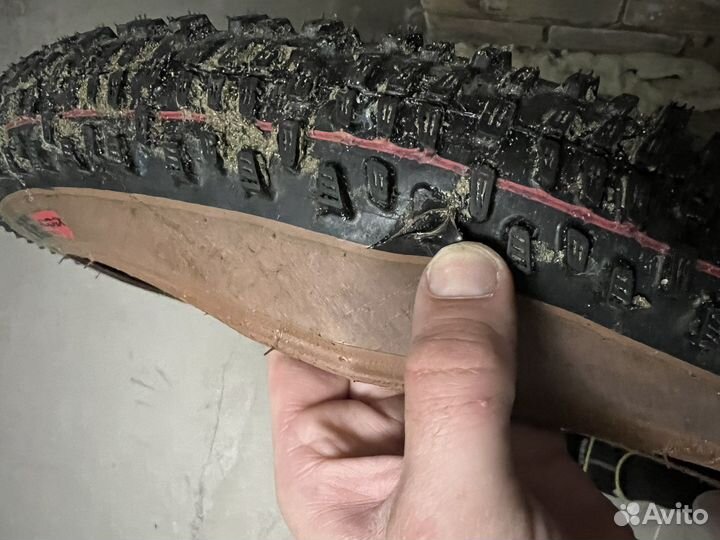 Покрышки schwalbe 29