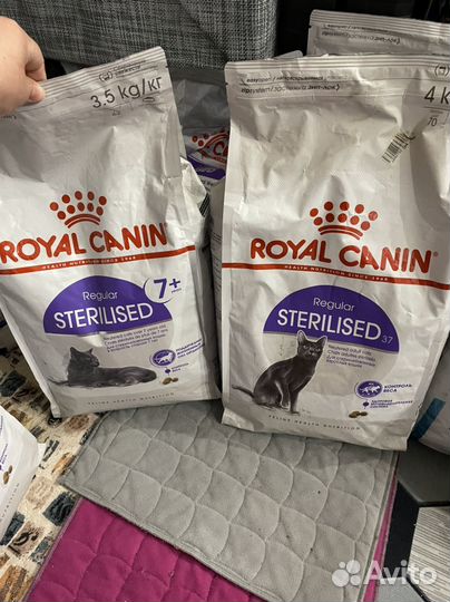 Корм для кошек стерелизованные Royal