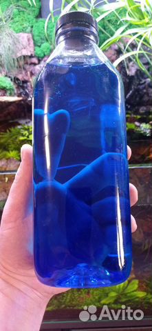 SafeAquarium (аквасейф) кондиционер для воды купить в Новосибирске ...