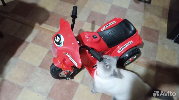 Детский электромотоцикл от 3 лет