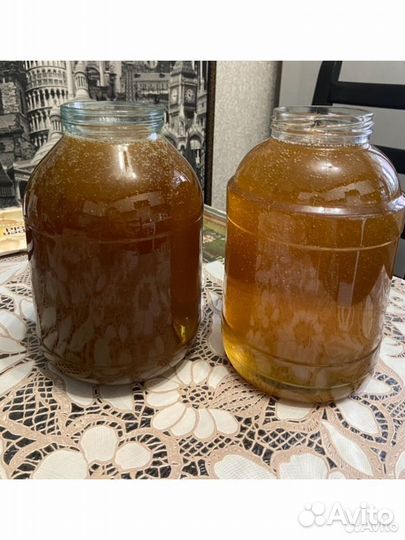 Мед разнотравье, 2023 год