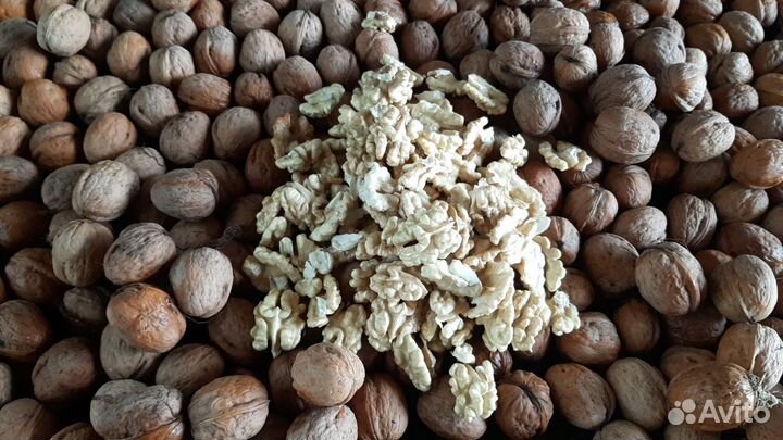 Грецкий орех