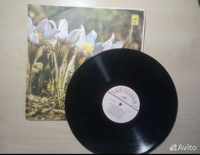 Виниловые пластинки СССР