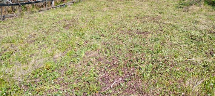 Участок 6 сот. (СНТ, ДНП)