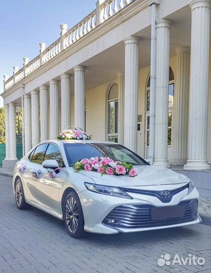 Трансфер, такси, аренда авто