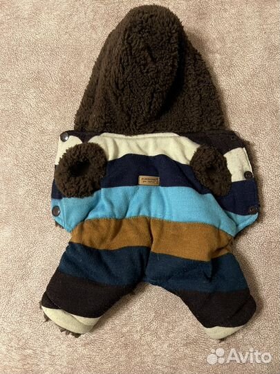 Одежда для собак мелких пород