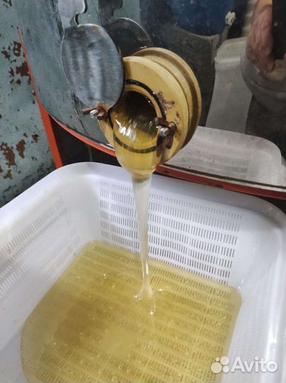 Мед Липовый 2022 со своей пасеки в Башкирии