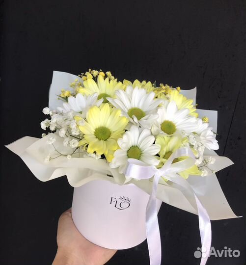 Ромашки Цветы Доставка