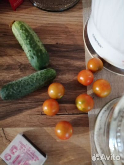 Томат Каменный цветок