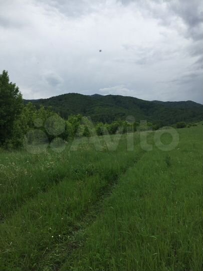 Участок 70 га (СНТ, ДНП)