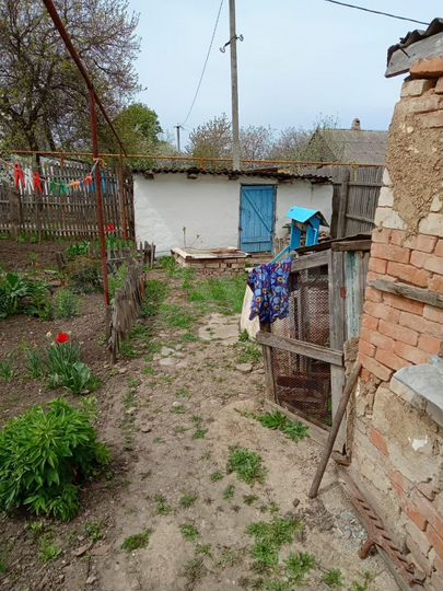 Дом 50 м² на участке 3 сот.