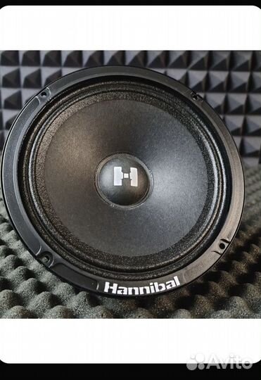 Динамики 16.5 Hannibal