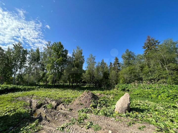 Участок 15,7 сот. (ИЖС)