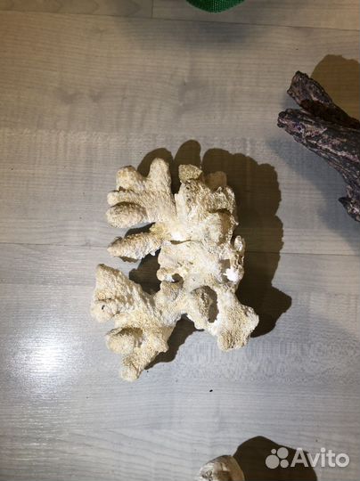 Камни, рыба, кораллы, декор для аквариума