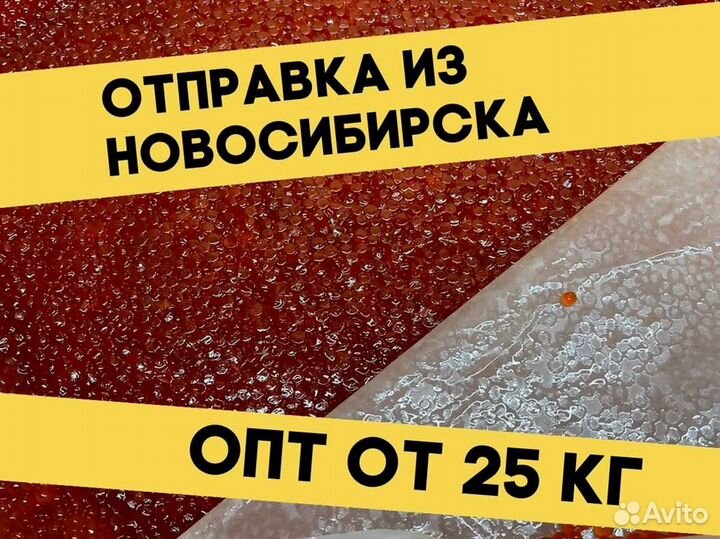 Икра нерки красная, улов 2023