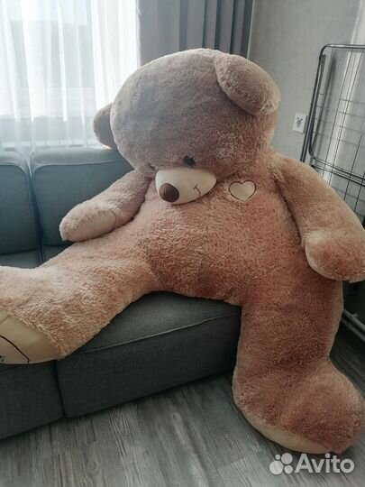 Плюшевый медведь