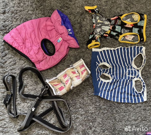 Амуниция поводок обувь одежда миска для собак