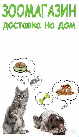 Royal Canin RC Для котят Мейн-кун: 4-15мес. (Kitte