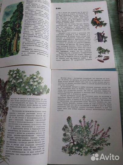 Серия книг СССР Почемучкины книжки