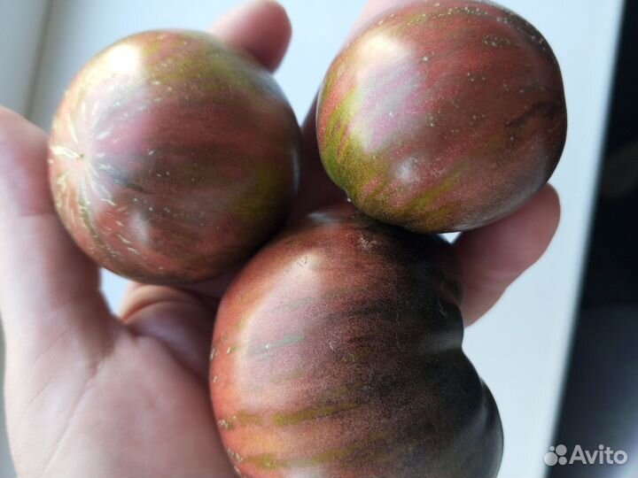 Семена томатов Сорт 