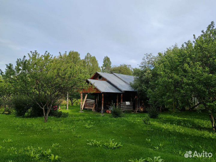 Фермерское хозяйство с поголовьем