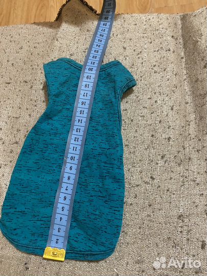 Одежда для кошек