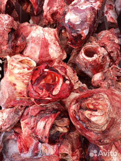 Мясо говядина для собак