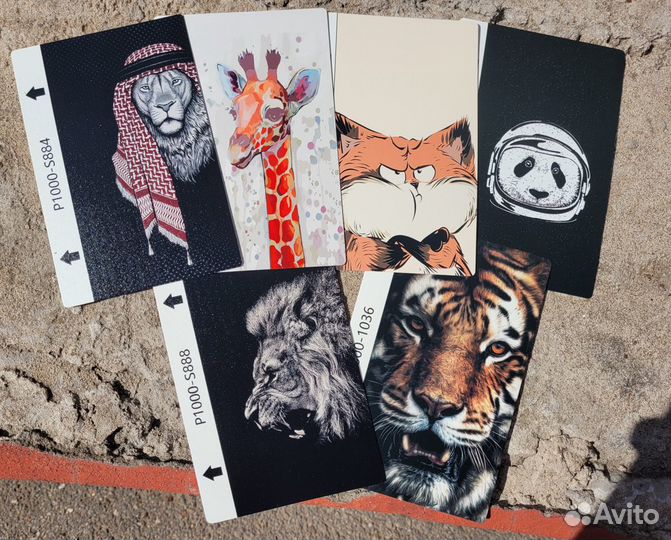 Защитная пленка на телефон